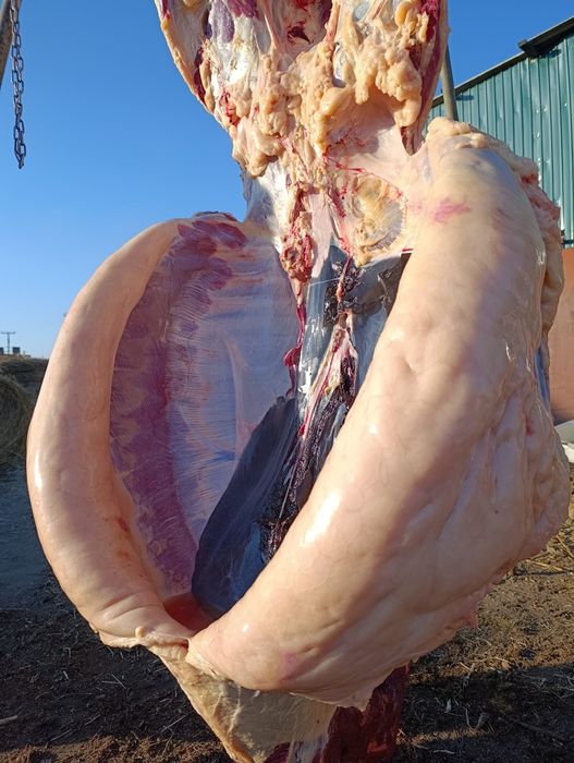 Байтал Кунанның еті сатылады.2 елі.бармак.і