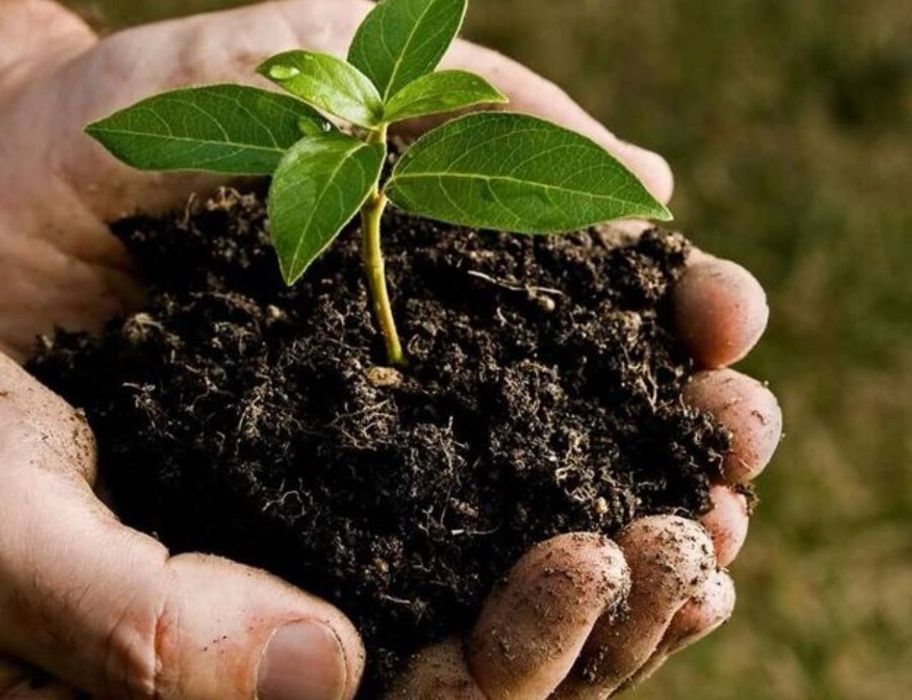 Biogomus sotamiz Optom