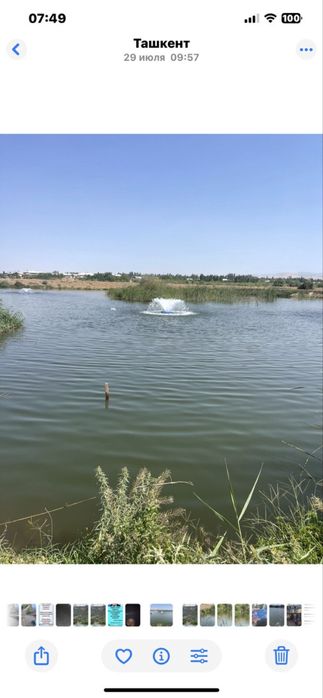 Продается Рыб хоз (готовый бизнес)