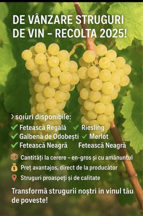 Struguri de vin