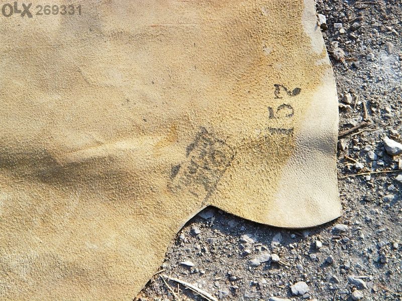 Кожа,свински изохастар