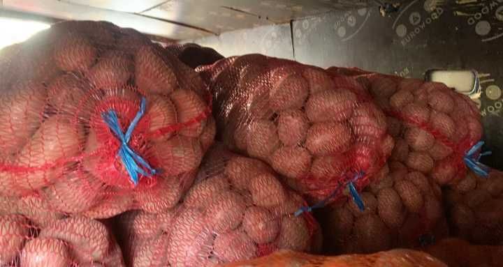 Cartofi consum roșu Bellarosa Județul Mureș doar azi 07#55#23#39#90