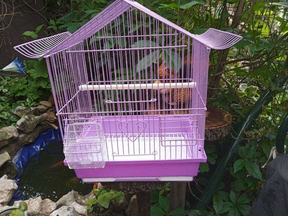 Пръстени и аксесоари за гълъби и папагали