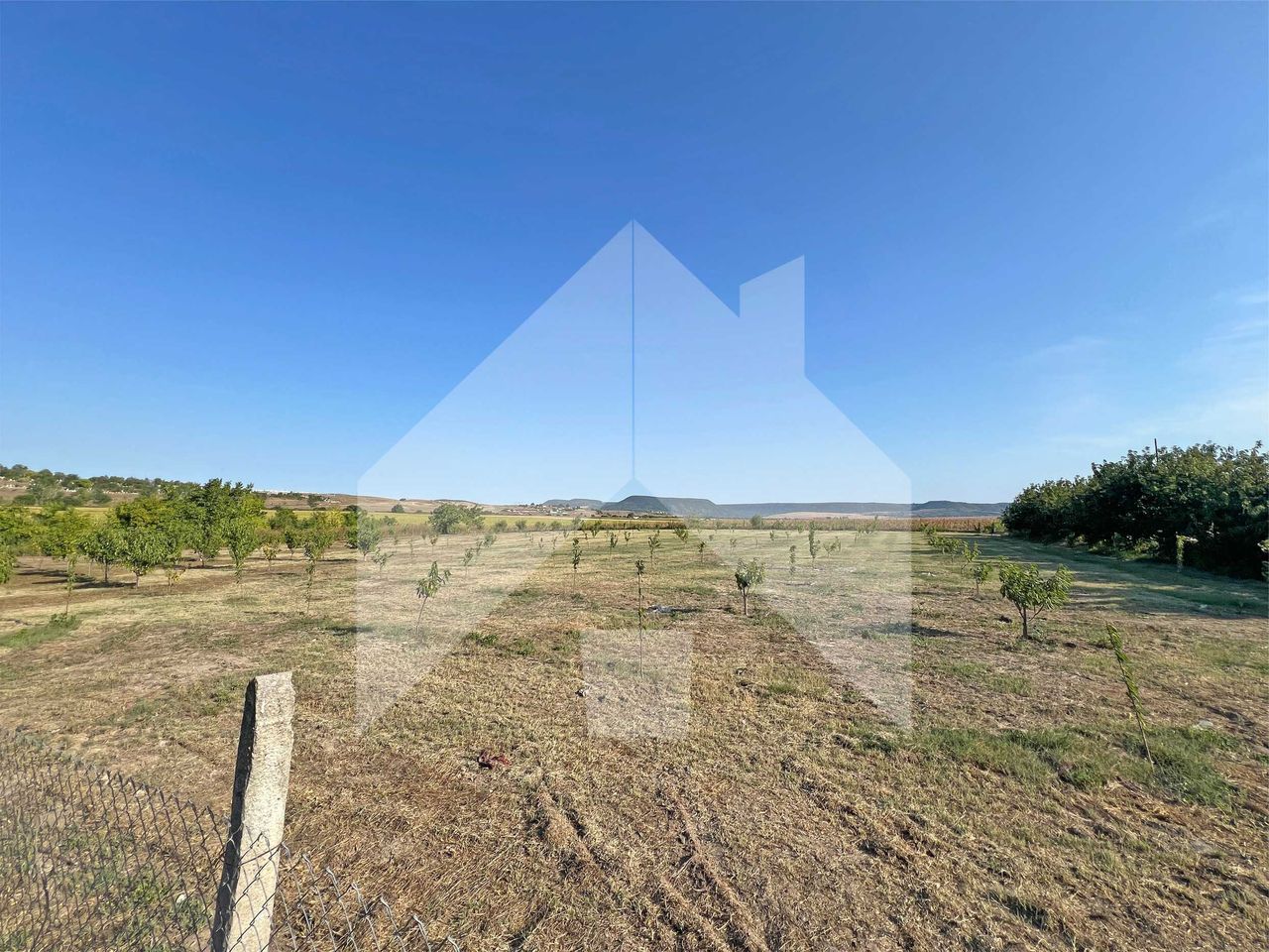 Продава се Земеделски имот в Нови пазар -  кв.м за 3643 €/дка - Снимка #3