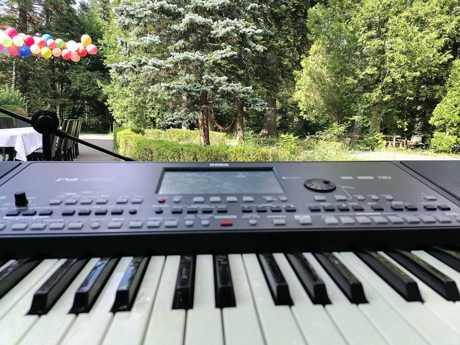 Orga-DJ pentru Evenimente Zona Tecuci-Galati-Vrancea