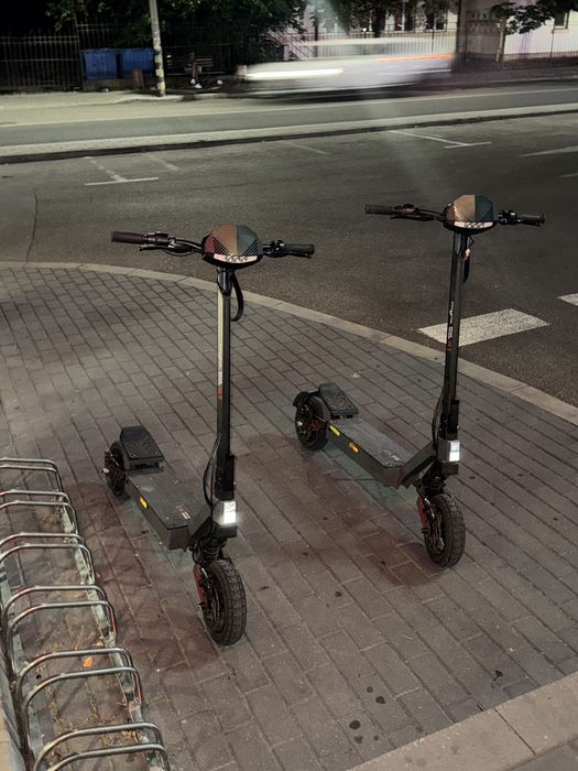 Trotineta Myria delimitata