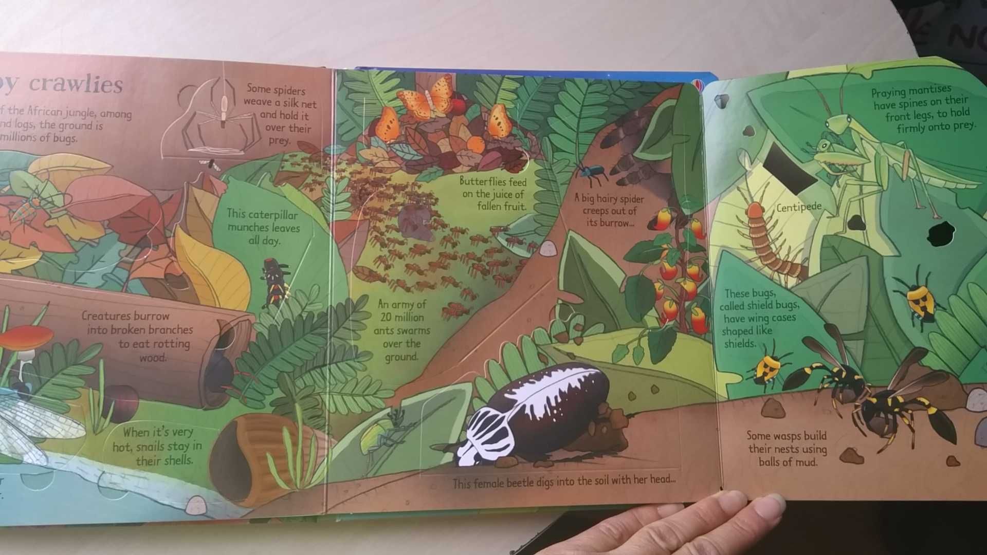 Нови детски енциклопедии с капачета на английски език