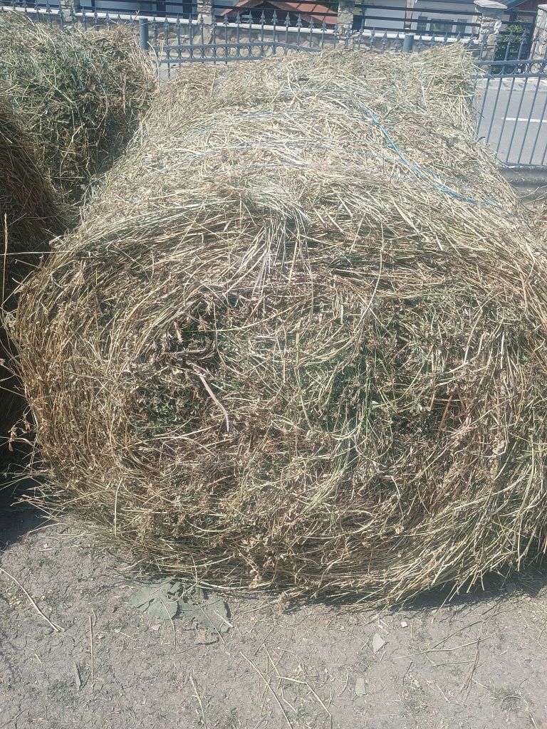 Vand baloti de fan si lucerna