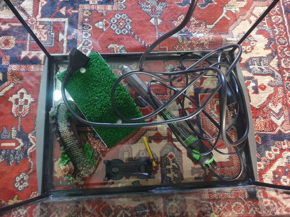 Vand acvariu pentru pesti sau broscuta