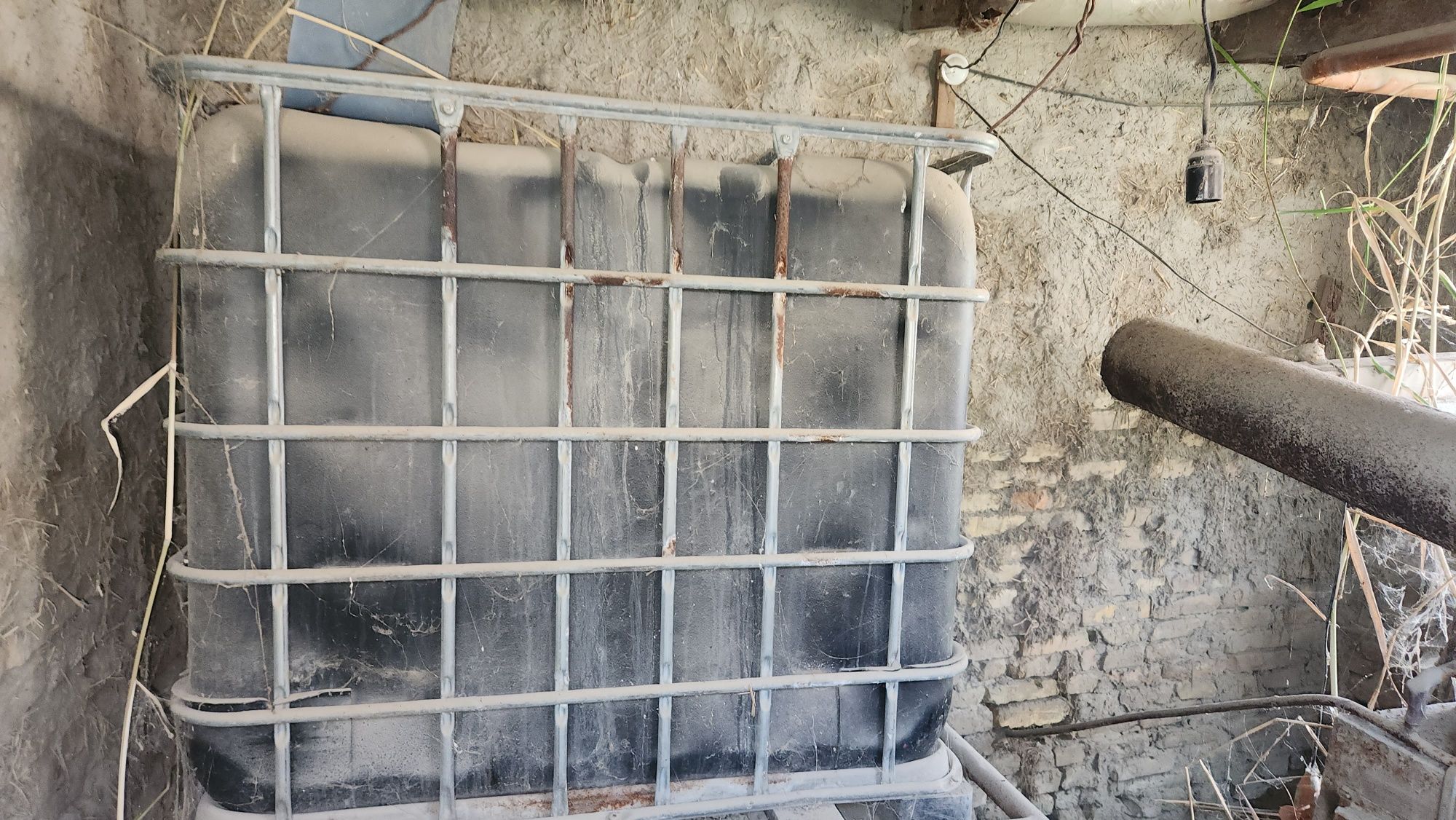 Issiqxona termiz qishki (parnik)