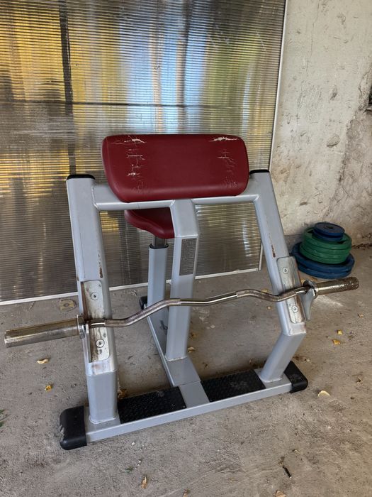 Скотова пейка за бицепс