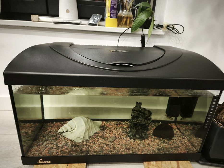 Acvariu complet echipat