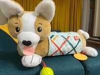 Fisher Price Възглавничка за игра по коремче 3 -в- 1 Кученце