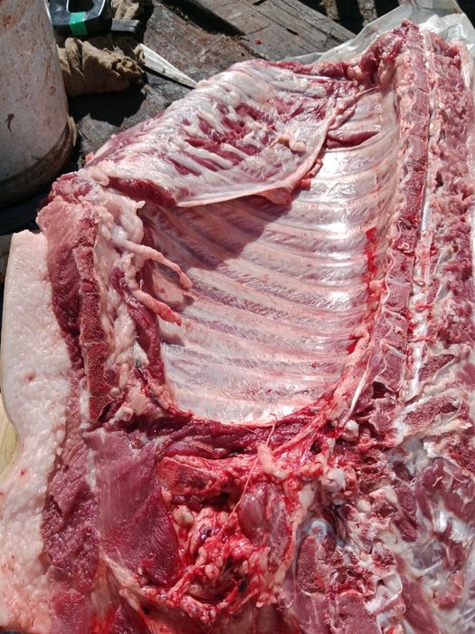 Продам домашнюю свинину