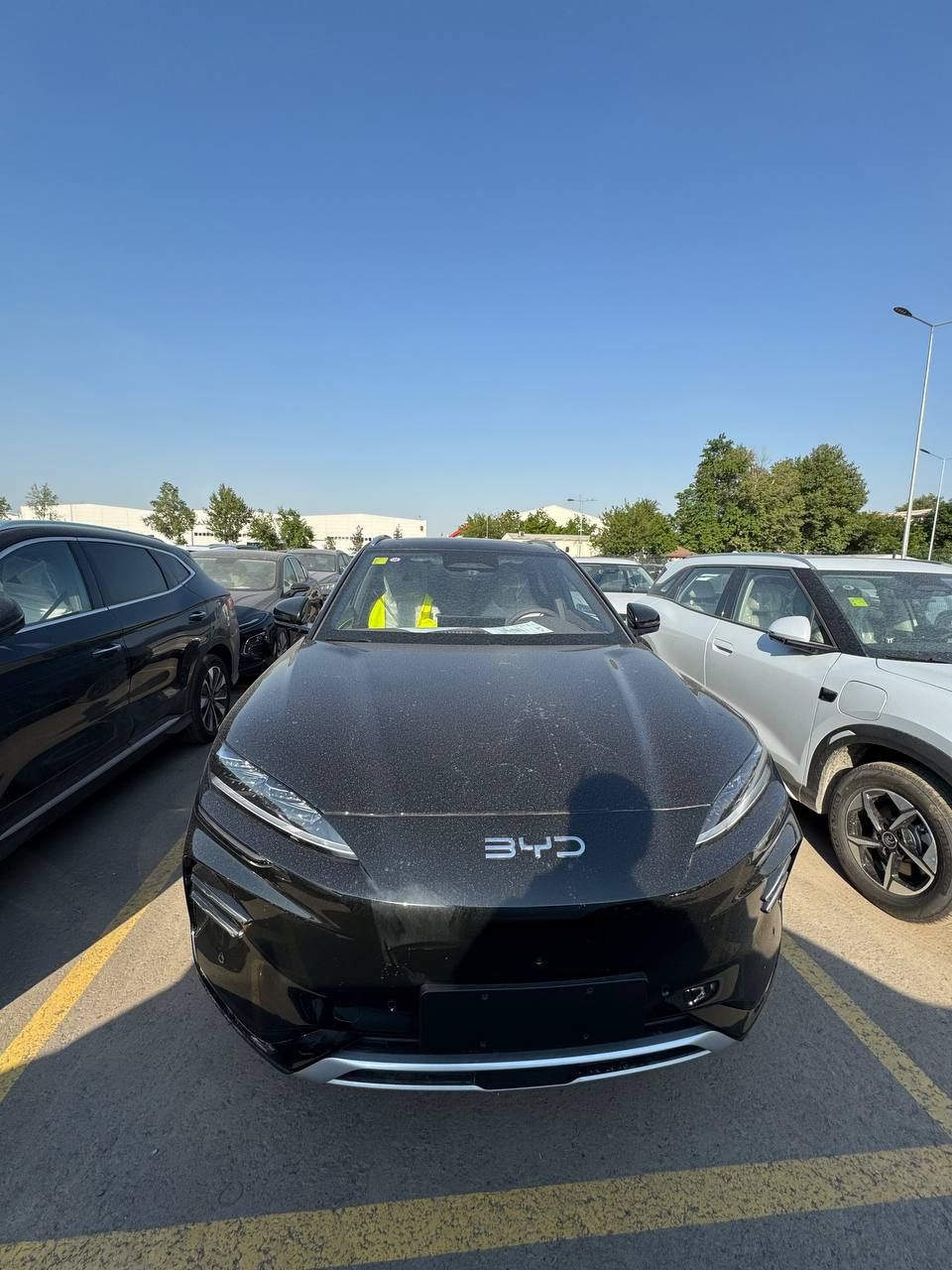 Byd smart champion 2025