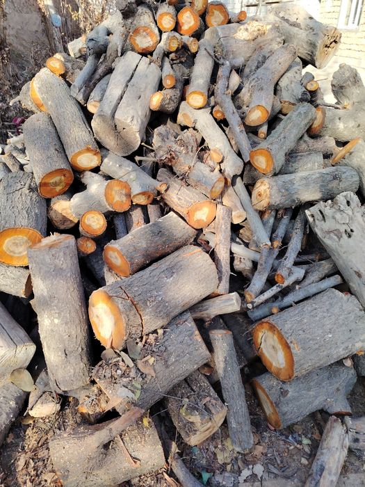 У'тин сотилади курук