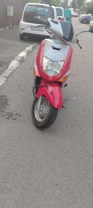 Scuter 49 cm bun