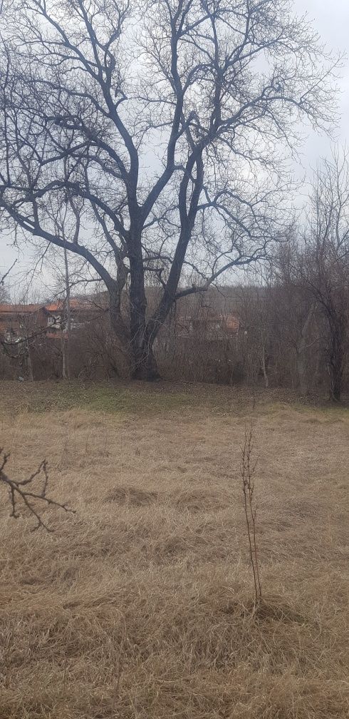 Продава се Парцел в с. Крайници, Област Кюстендил - 1060 кв.м за 22 €/кв.м - Снимка #1