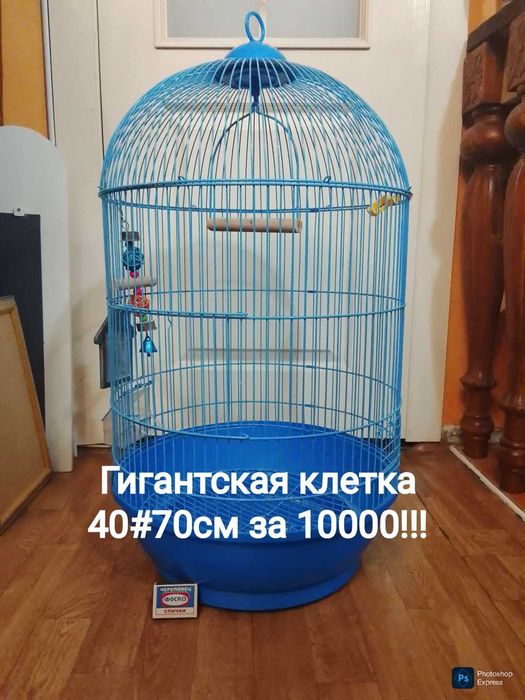 Гигантская клетка за символическую сумму