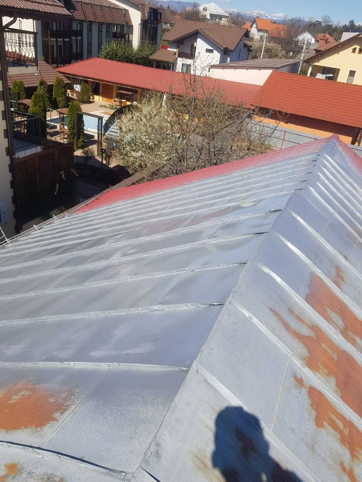 Vopsitor la tabla pe acoperis la casa, blocuri si alte suprafete