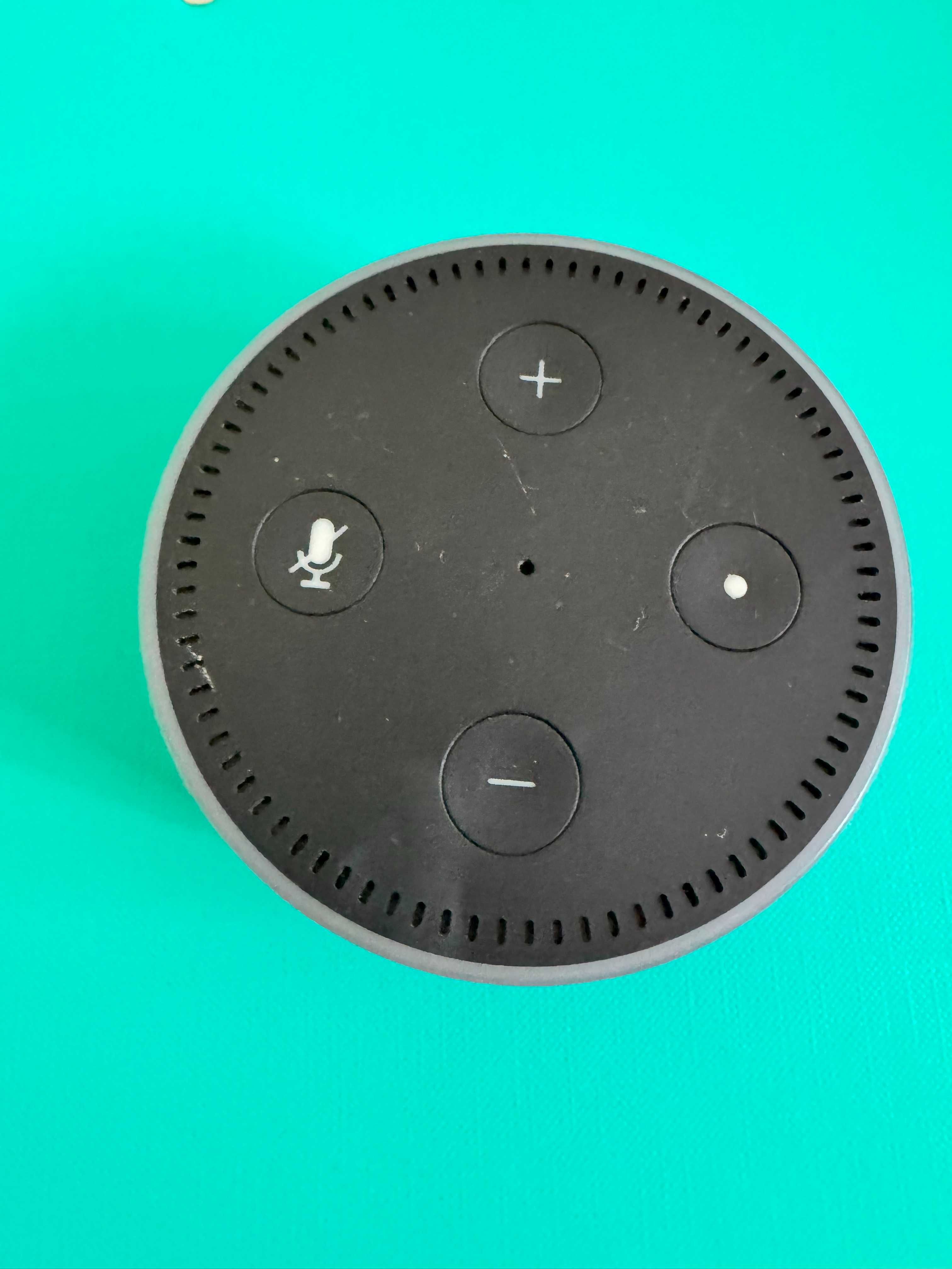 Amazon Echo Dot home assistant