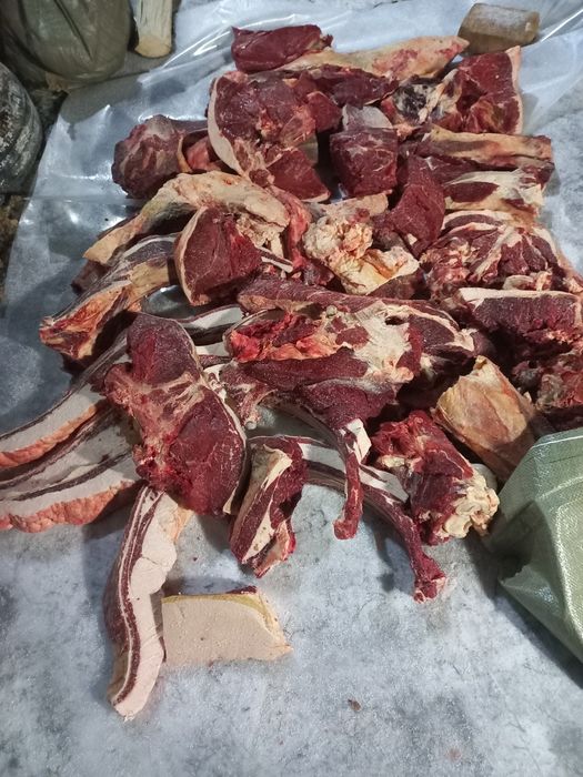 Продам согым конина