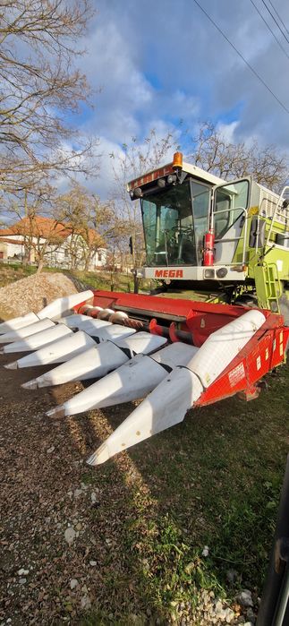 Masa de porumb header porumb oros