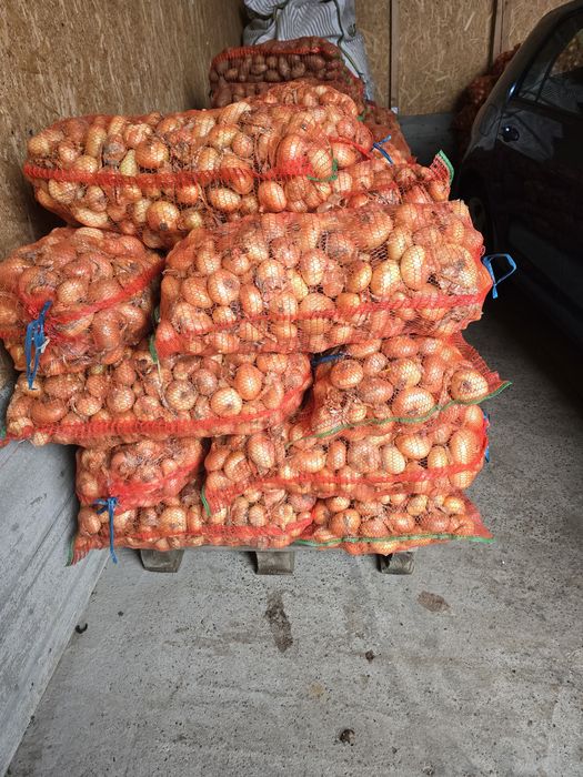 Ceapă și cartofi 1,5