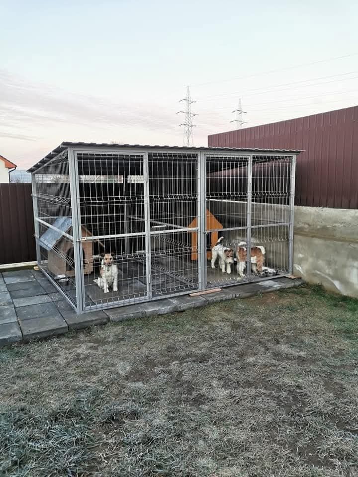 Tarc, padoc 1.5x2m pentru caini 1,5/2m