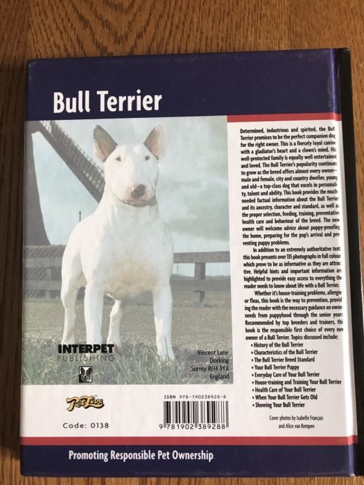 Carte Bull Terrier