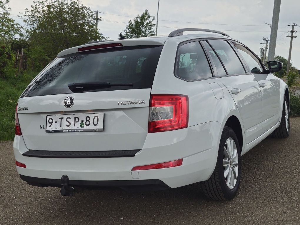 SKODA Octavia 2014 Greentech Businessline Posibilitate rate