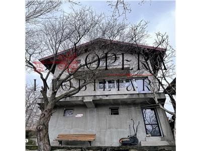 Casa individuala, de vanzare, zona Pacurari