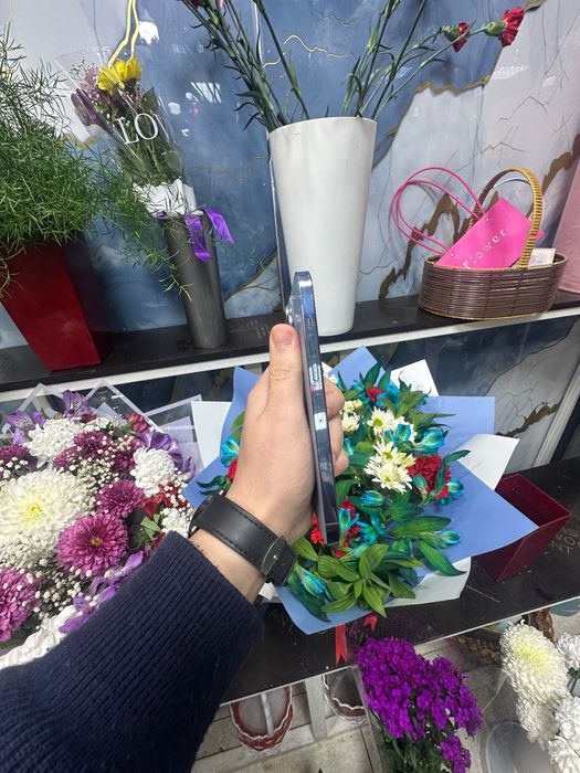 Iphone 13 Pro Max 1 T