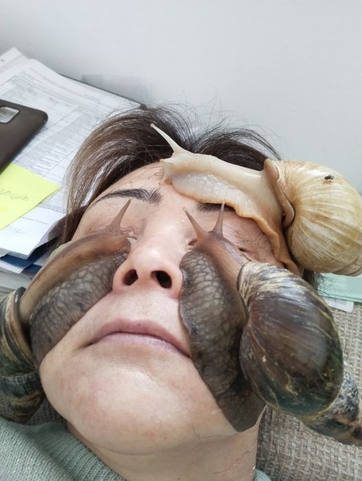 Улитки для косметологии