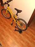 Bicicleta copii Riverside