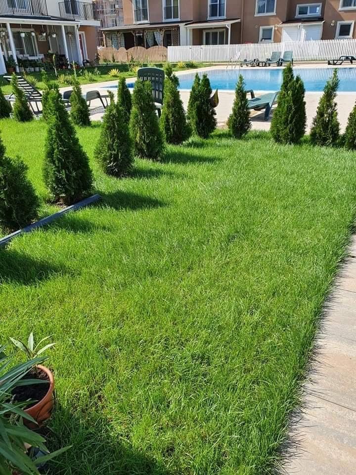 Gazon rulou amenajare gradini piatra alba