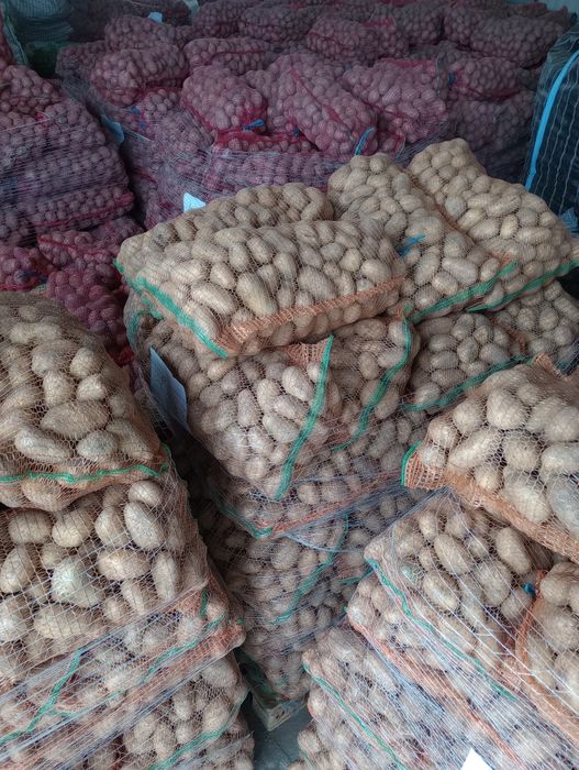 Cartof consum alb rosu! Porumb!