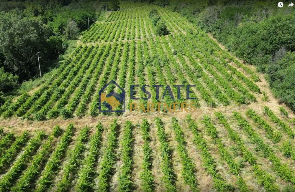 Продава се Парцел в с. Храбрино, Област Пловдив - 68188 кв.м за 6 €/кв.м - Снимка #3