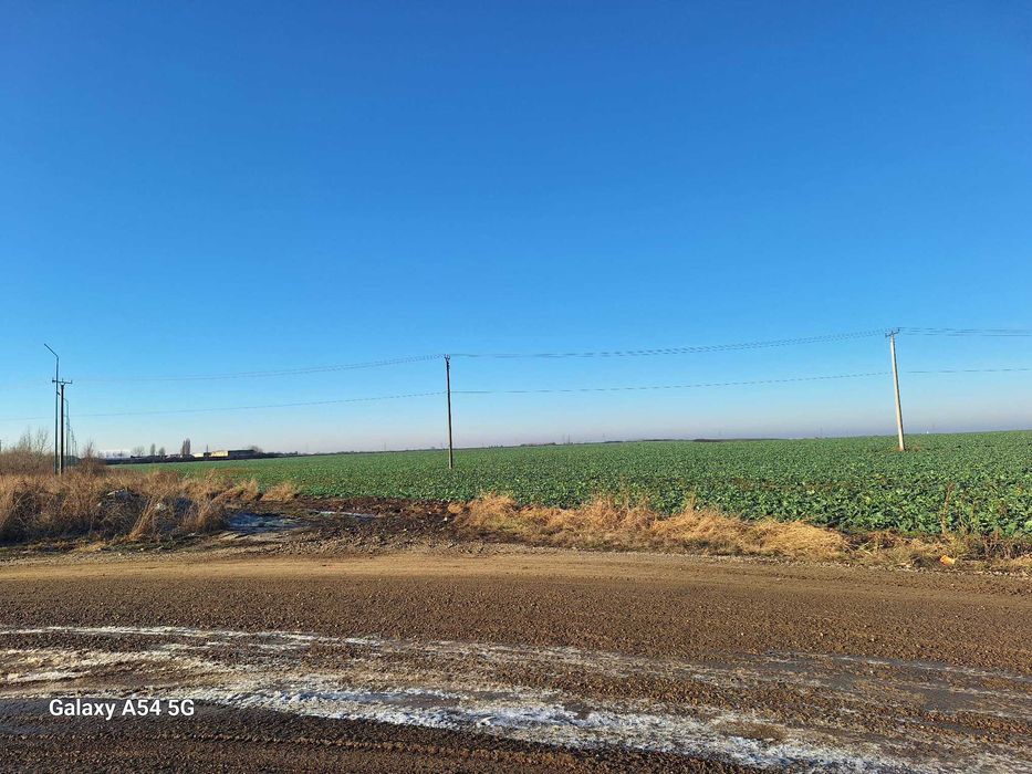 Proprietar vand teren