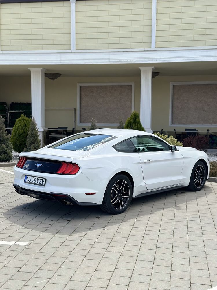 Ford Mustang 2.3ecoboost 2019