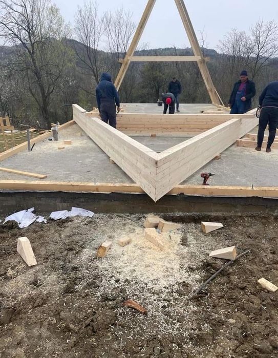 Meseriași în domeniul casei și cabane din lemn