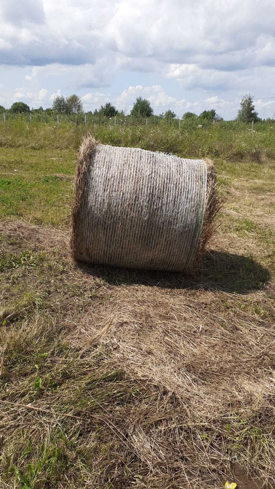 Vând baloți rotunzi de fân