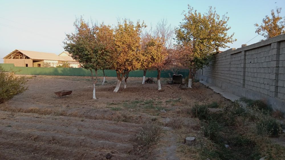 Termiz tumanida yer sotiladi kelishamiz