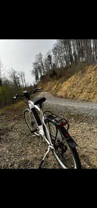 Bicicleta electrica Gazzele cityzen speed