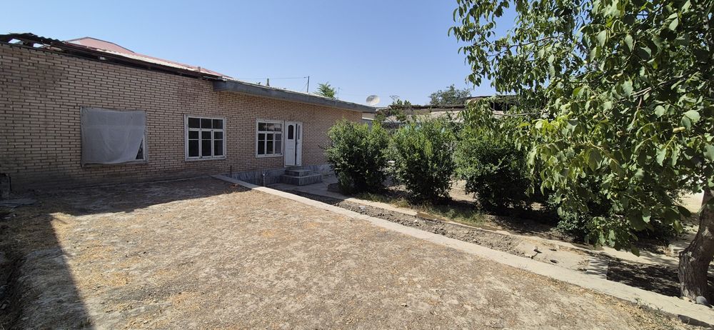 Зармед университетида уй ижарага берилади кизлар учун