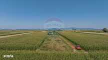 Teren de 1100 mp de vânzare în Stupini