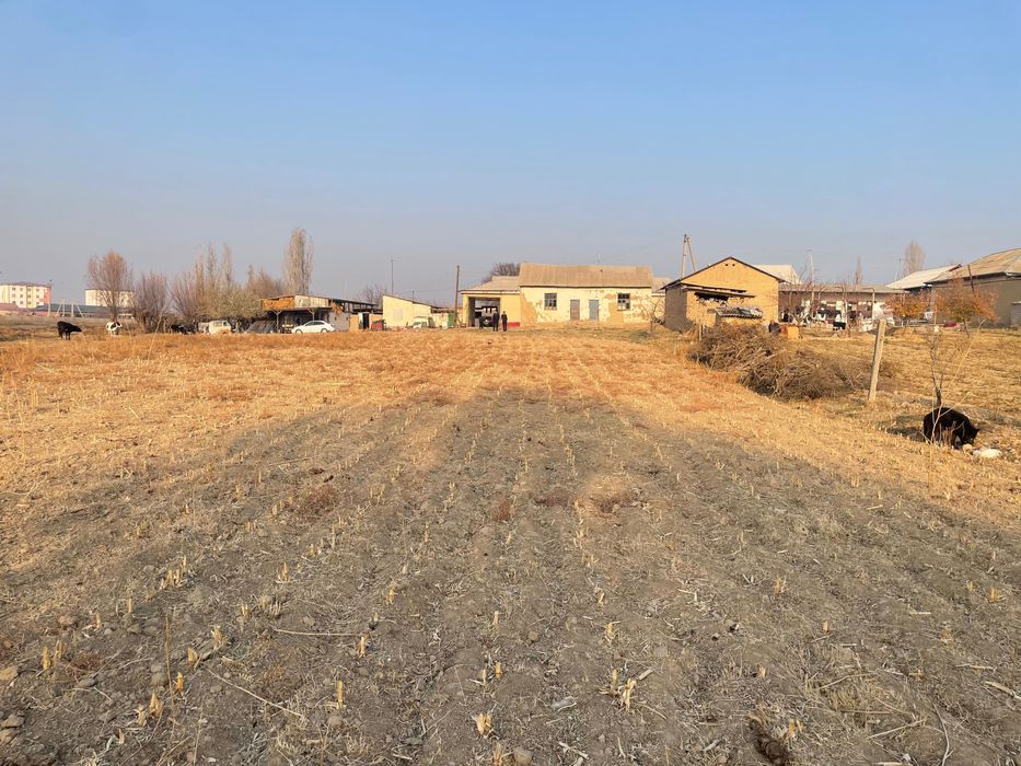 Buka tumani markazda yer uchastka ishlab chiqarish dala hovli zor lok