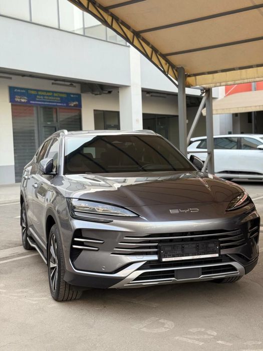 Byd chapion gibrit 150km 2024