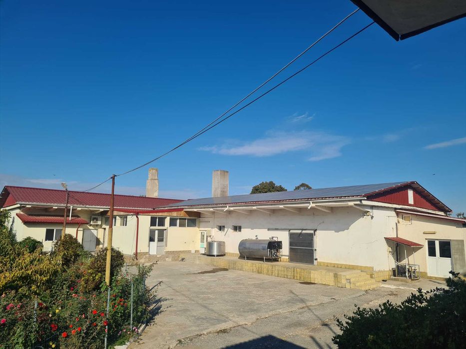 Fabrica de prelucrarea laptelui functionala  prelucrare 10000l lapte