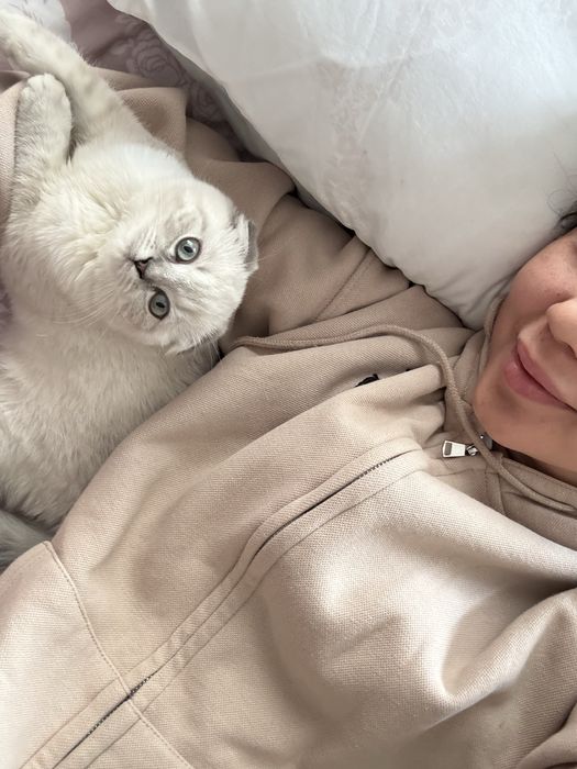 Срочно продаю кошка 4 мес.